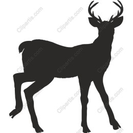Majestic Deer