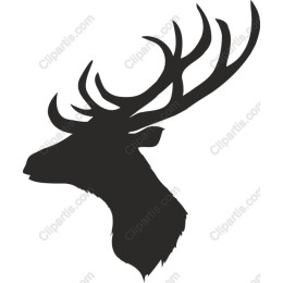 Majestic Deer