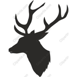 Majestic Stag Head