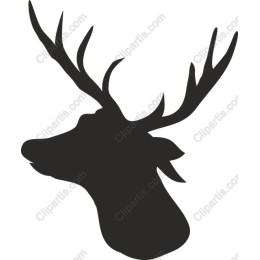 Majestic Deer Head