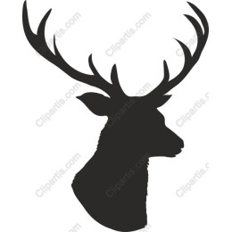 Elegant Deer
