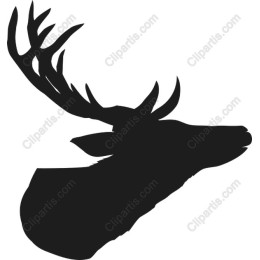 Majestic Deer