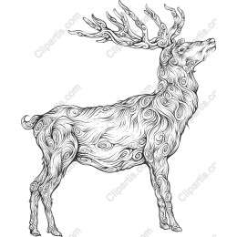 Majestic Deer