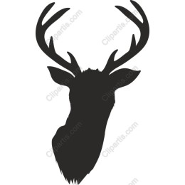 Majestic Deer Head