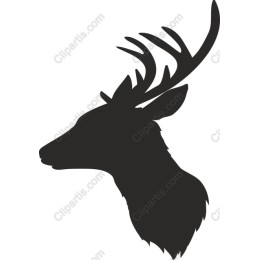 Majestic Deer