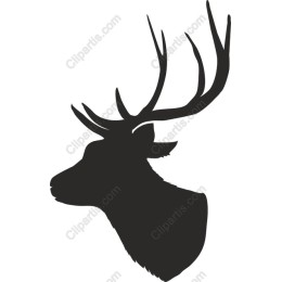 Majestic Stag