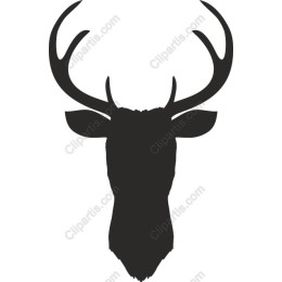 Elegant Deer Head