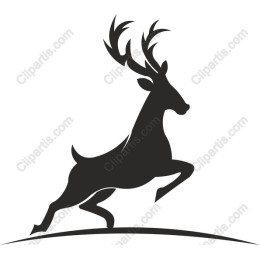 Leaping Deer work