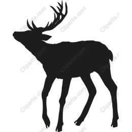 Majestic Deer
