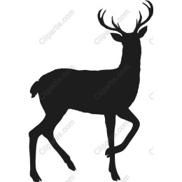 Majestic Stag