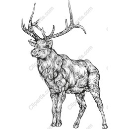 Elegant Stag