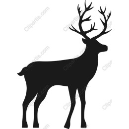 Majestic Deer