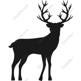 Majestic Stag