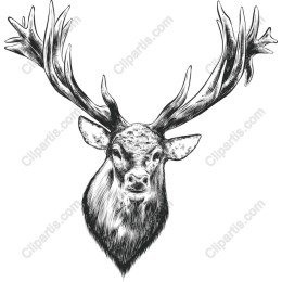 Vintage Stag Head
