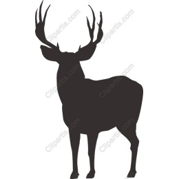 Majestic Stag