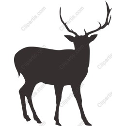 Majestic Stag