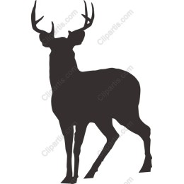 Majestic Stag
