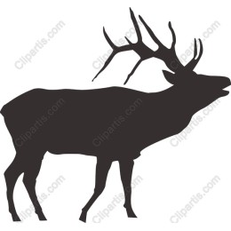 Majestic Elk