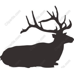 Majestic Reindeer