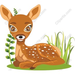 Charming Fawn
