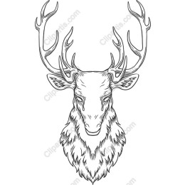Majestic Stag Head