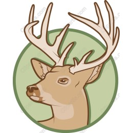 Majestic Deer