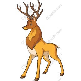 Majestic Deer