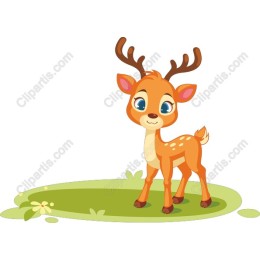Charming Young Deer