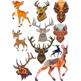 Majestic Deer & Stag Bundle