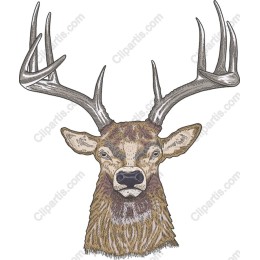 Majestic Stag Head