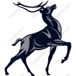 Majestic Stag