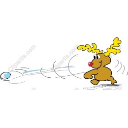 Playful Reindeer