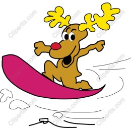 Moose Surfing Adventure