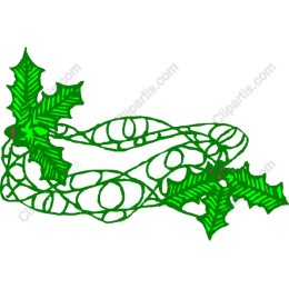 Holly Vine