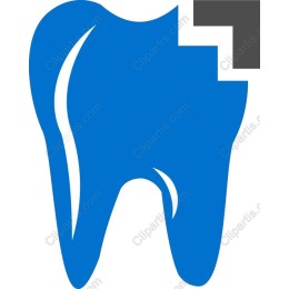 Modern Tooth