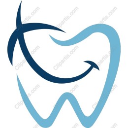 Professional Dental Tooth