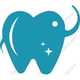 Elephant Tooth