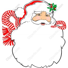Cheerful Santa Claus
