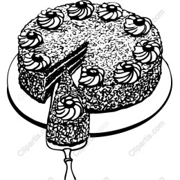 Elegant Cake