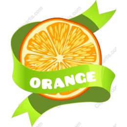 Vibrant Orange Slice