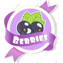 Vibrant Berry
