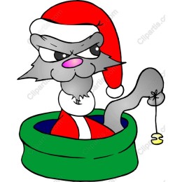 Mischievous Christmas Cat