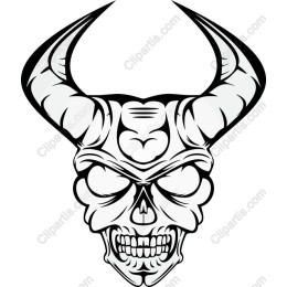 Bull Skull