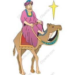 Camel Rider