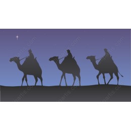 Camel Adventure