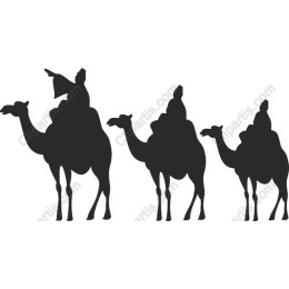 Camel Caravan