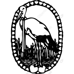 Elegant Stork