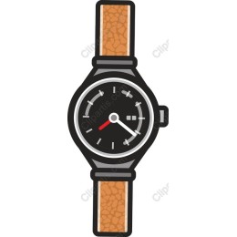 Elegant Classic Wristwatch