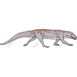 Prehistoric Amphibian
