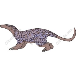 Pangolin in and